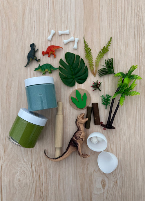Dino Playpack Bag